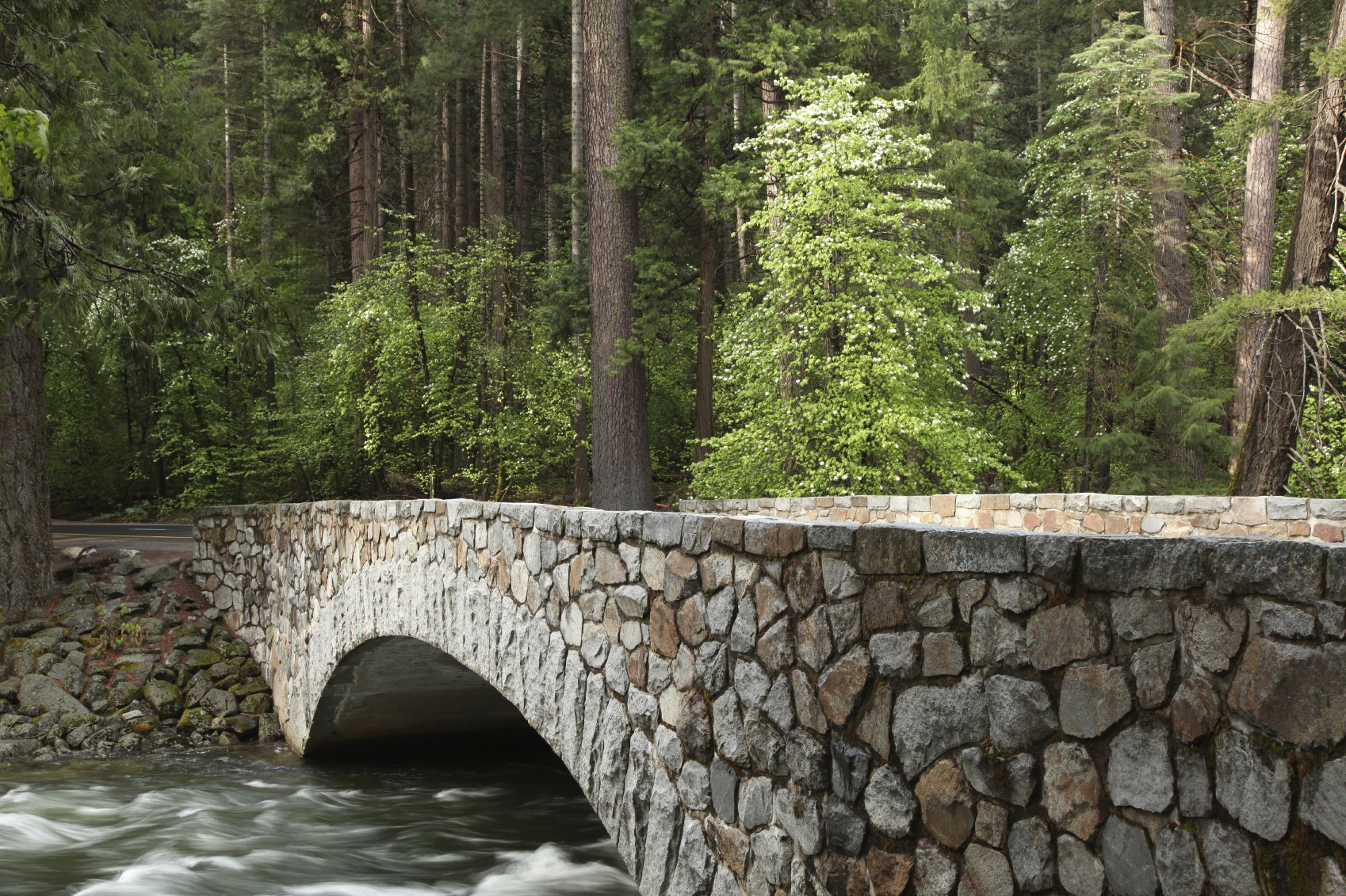 Hypnose baut eine Brücke zum Unterbewusstsein Eine steinerne Brücke führt in einem Wald über einen kleinen Fluss.