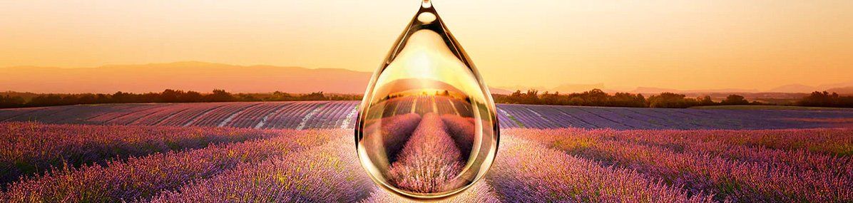 Inspirierte Schönheit