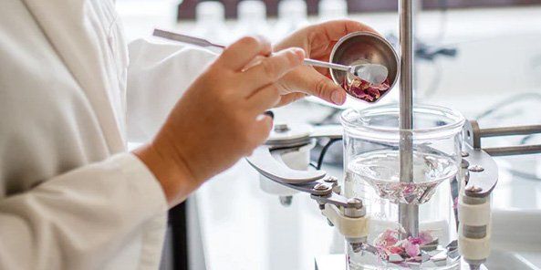 Von der Forschung zur Innovation