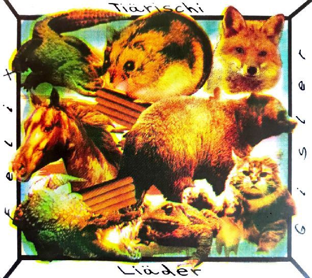 CD Plan B von Felix Gisler CD Plan B von Felix Gisler