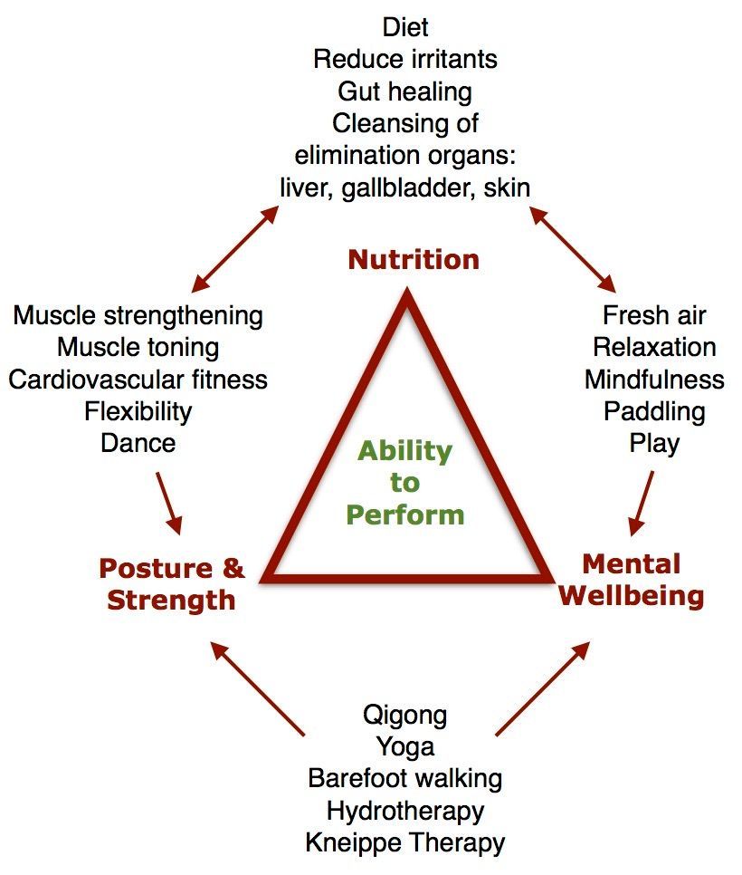 The naturopathic triangle of health.