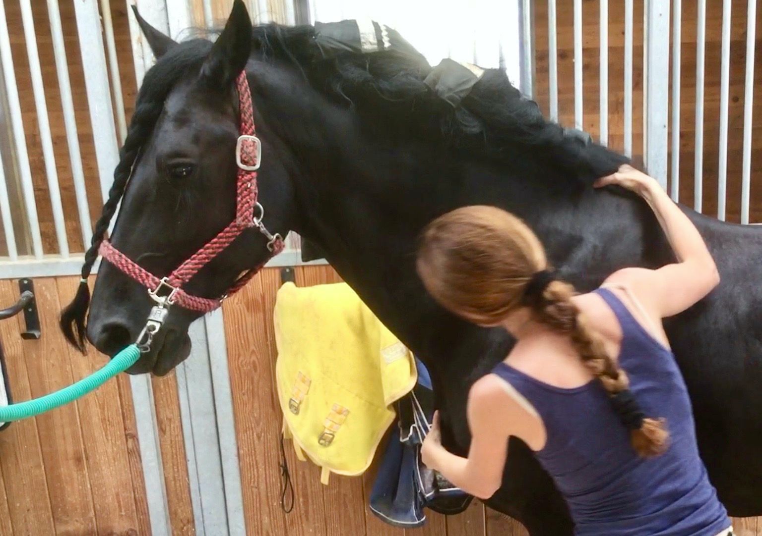 The naturopathic triangle of health.