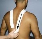 Biodynamic osteopathy