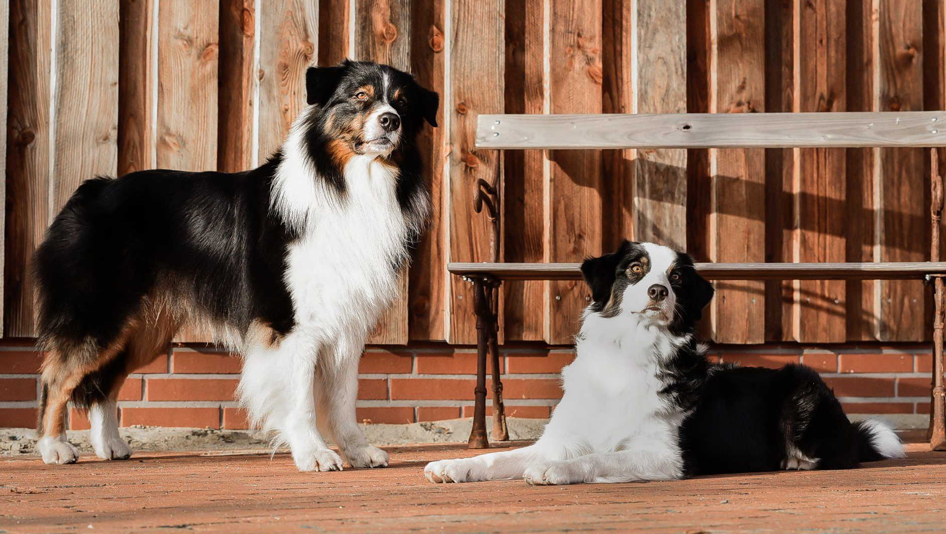 Madmexx Passion What Else Enterprise Black Of Hair