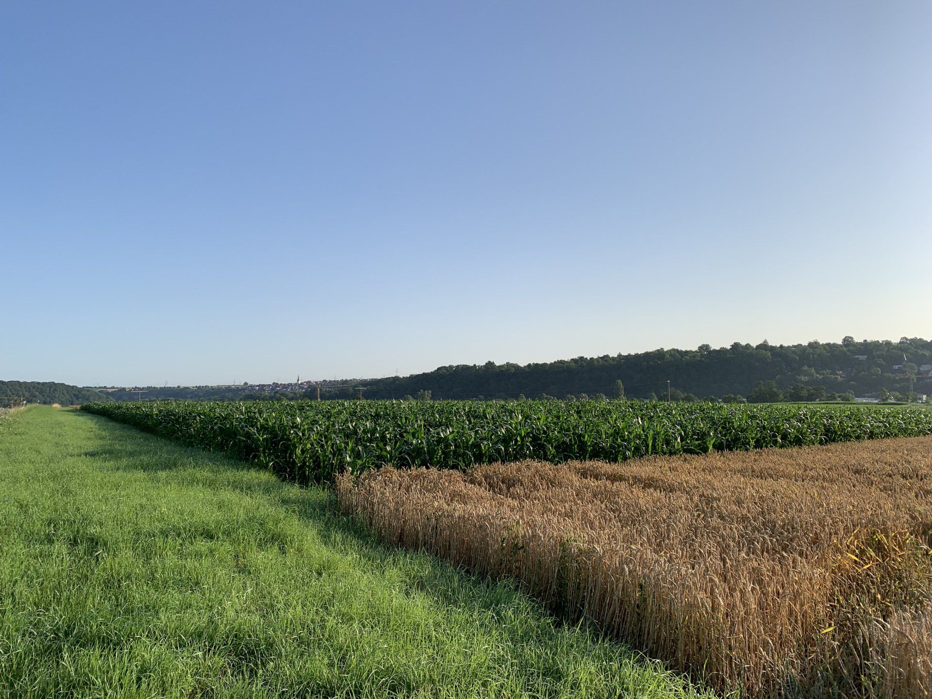24h Betreuung 24-Stunden Pflege Zuhause in Kaisersbach