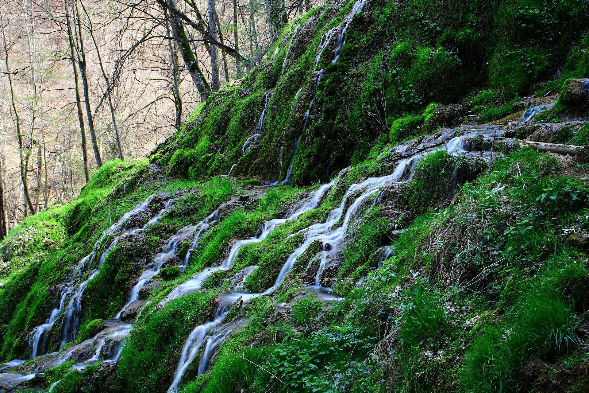 Polnische Pflegekräfte für die 24-Stunden Betreuung und Pflege zu Hause im Landkreis Reutlingen