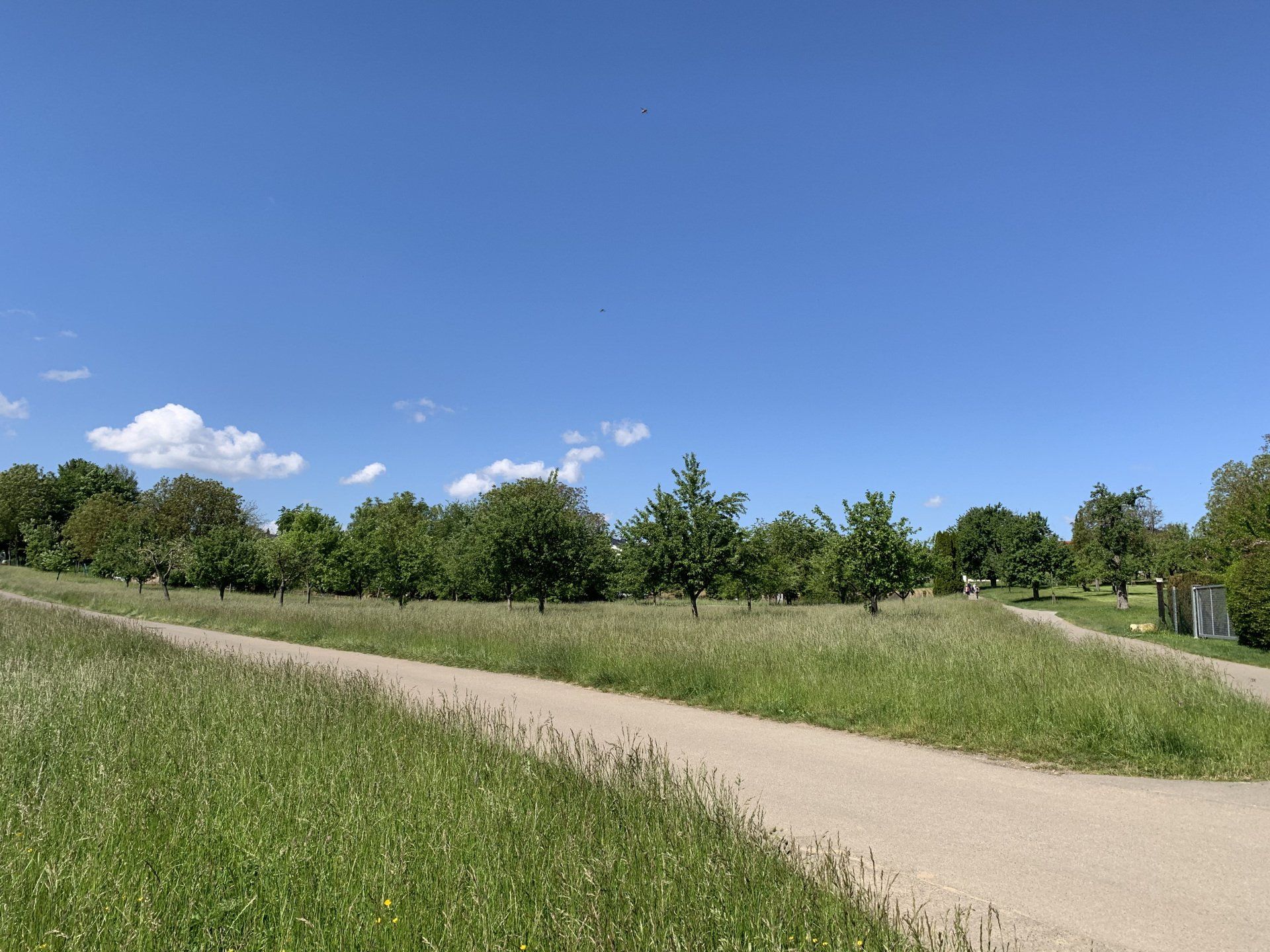 Enzkreis 24h Betreuung 24-Stunden Pflege zu Hause