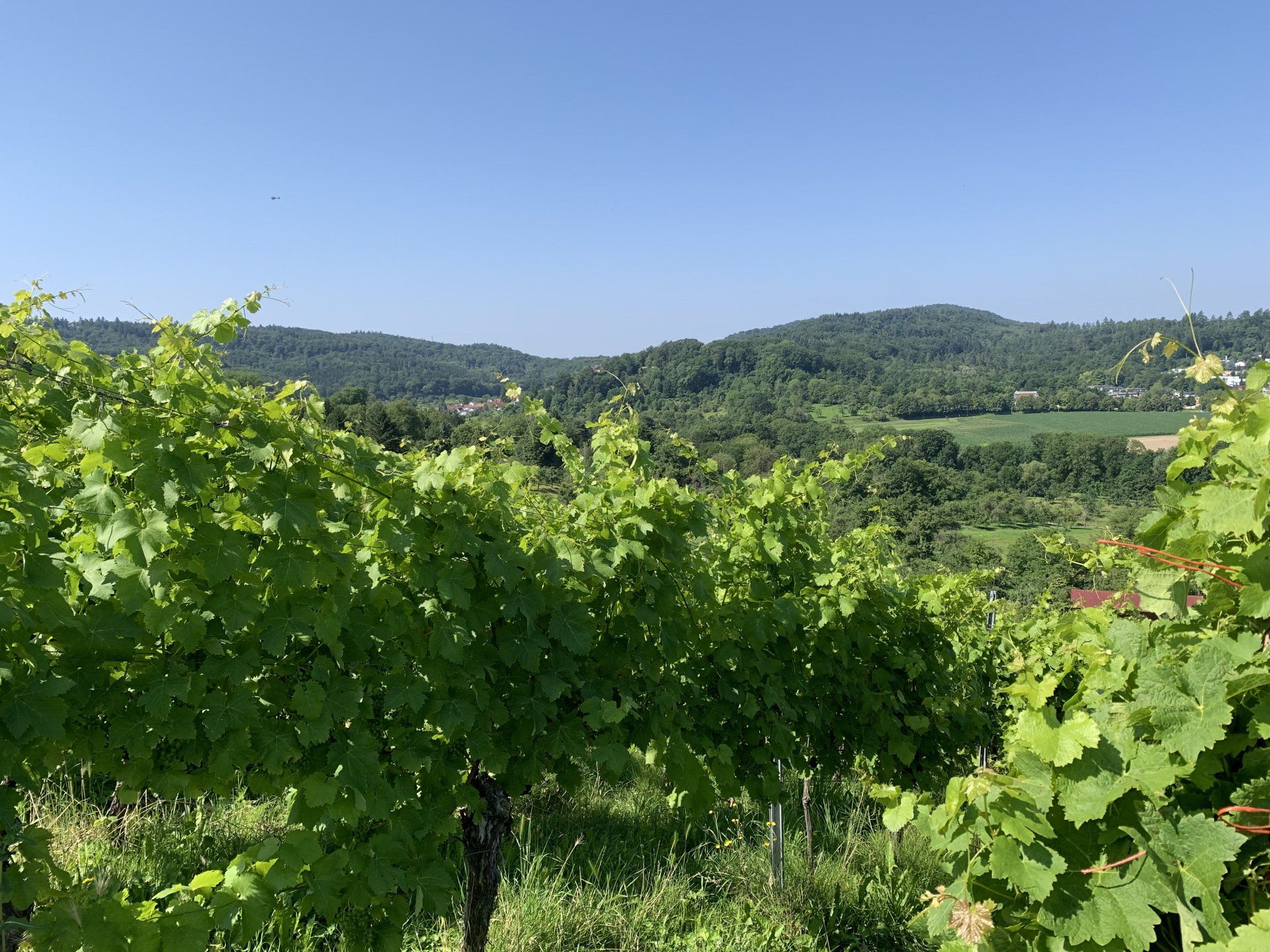 Rems-Murr-Kreis 24h Betreuung 24-Stunden Pflege Zuhause sozialversicherte polnische  Pflegekräfte