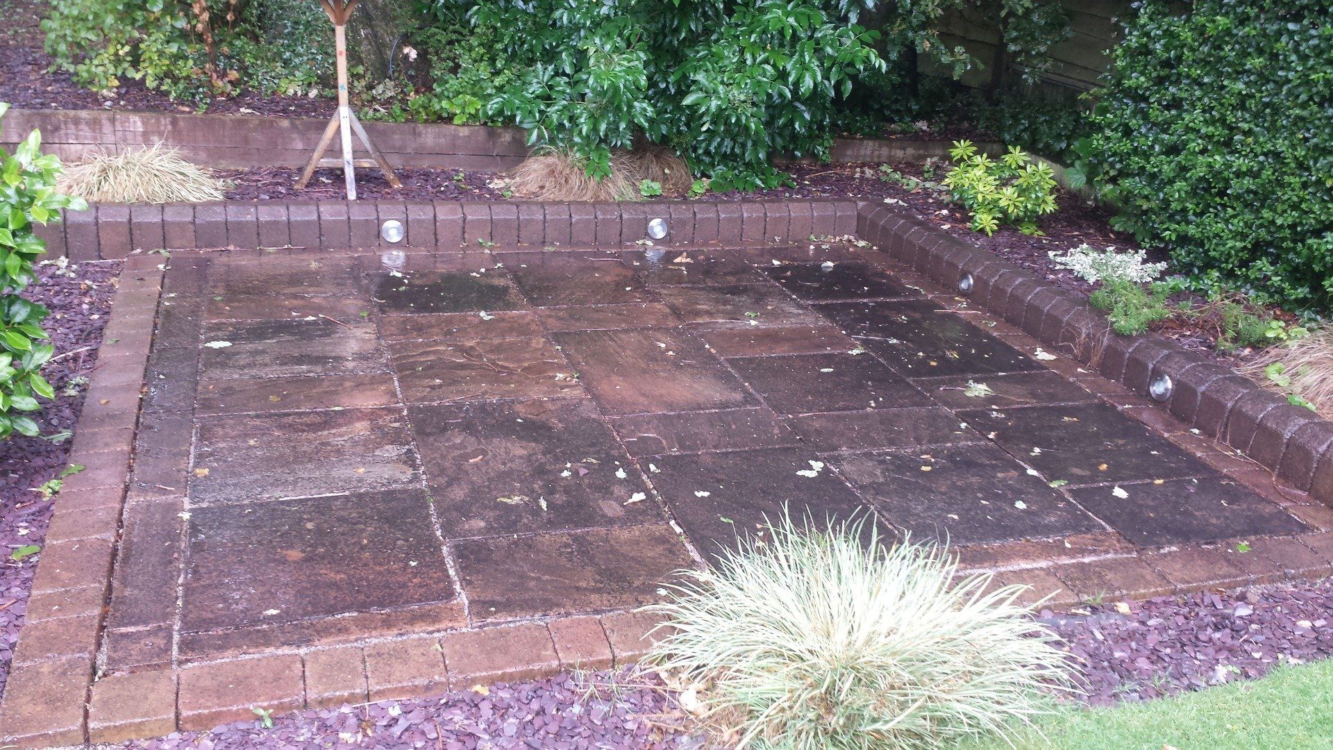Dirty lichen infested Indian sandstone patio before cleaning