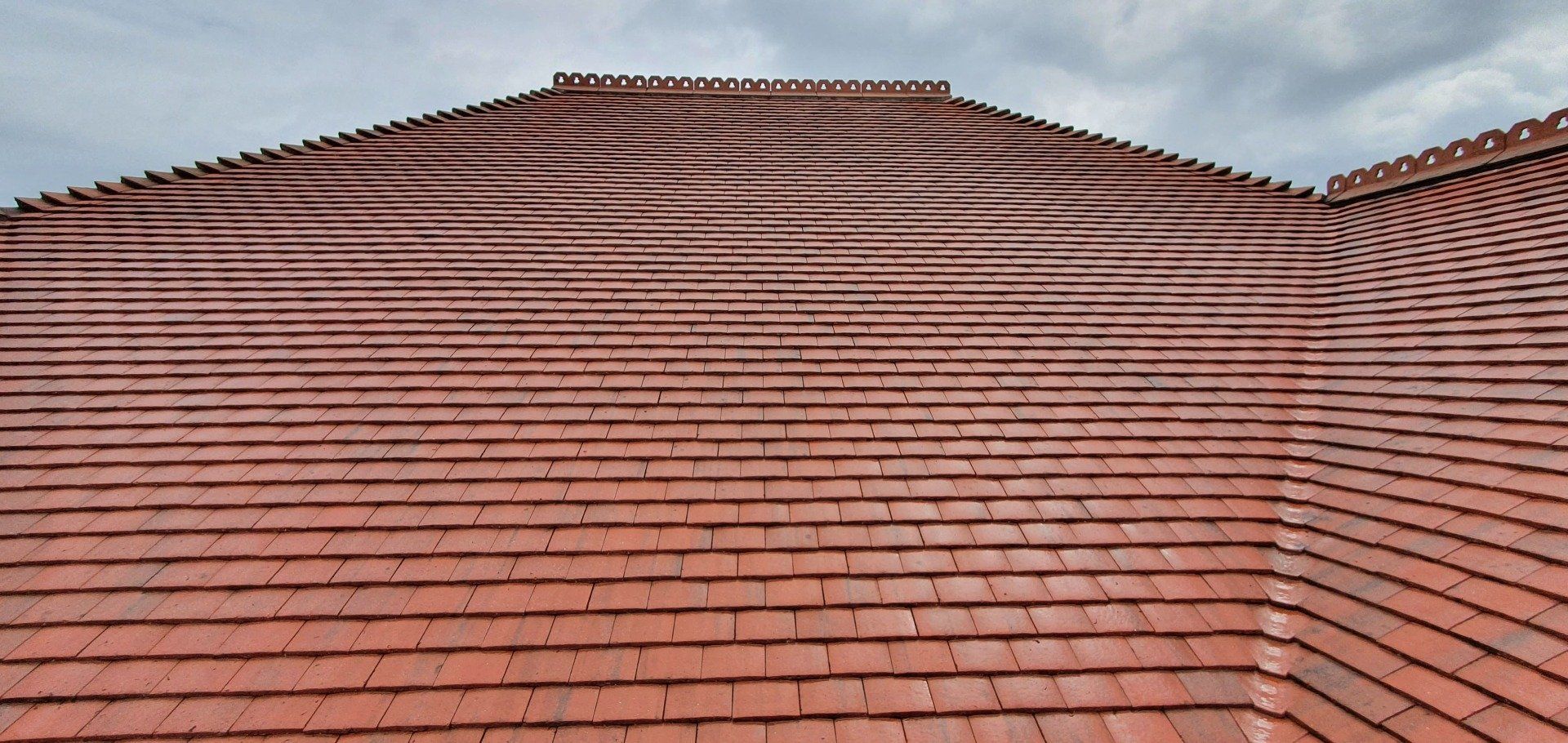 Steam cleaned clay tile roof