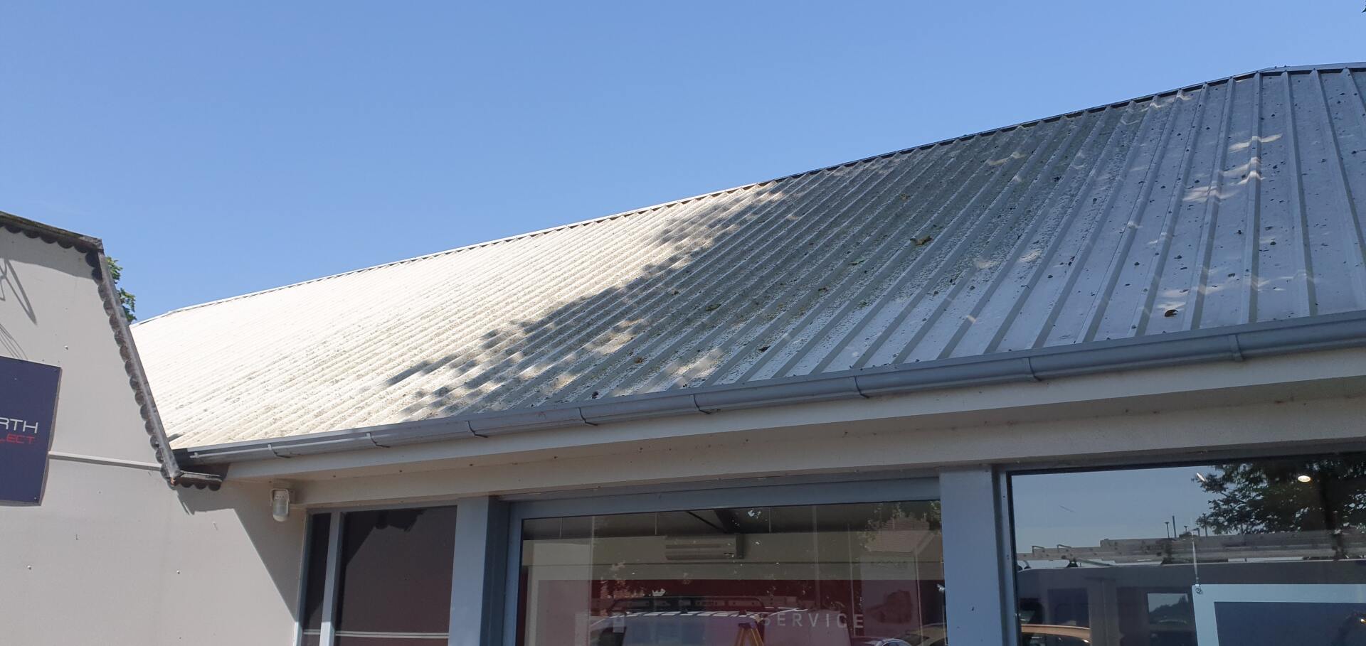 Clad car showroom roof covered in tree sap and debris