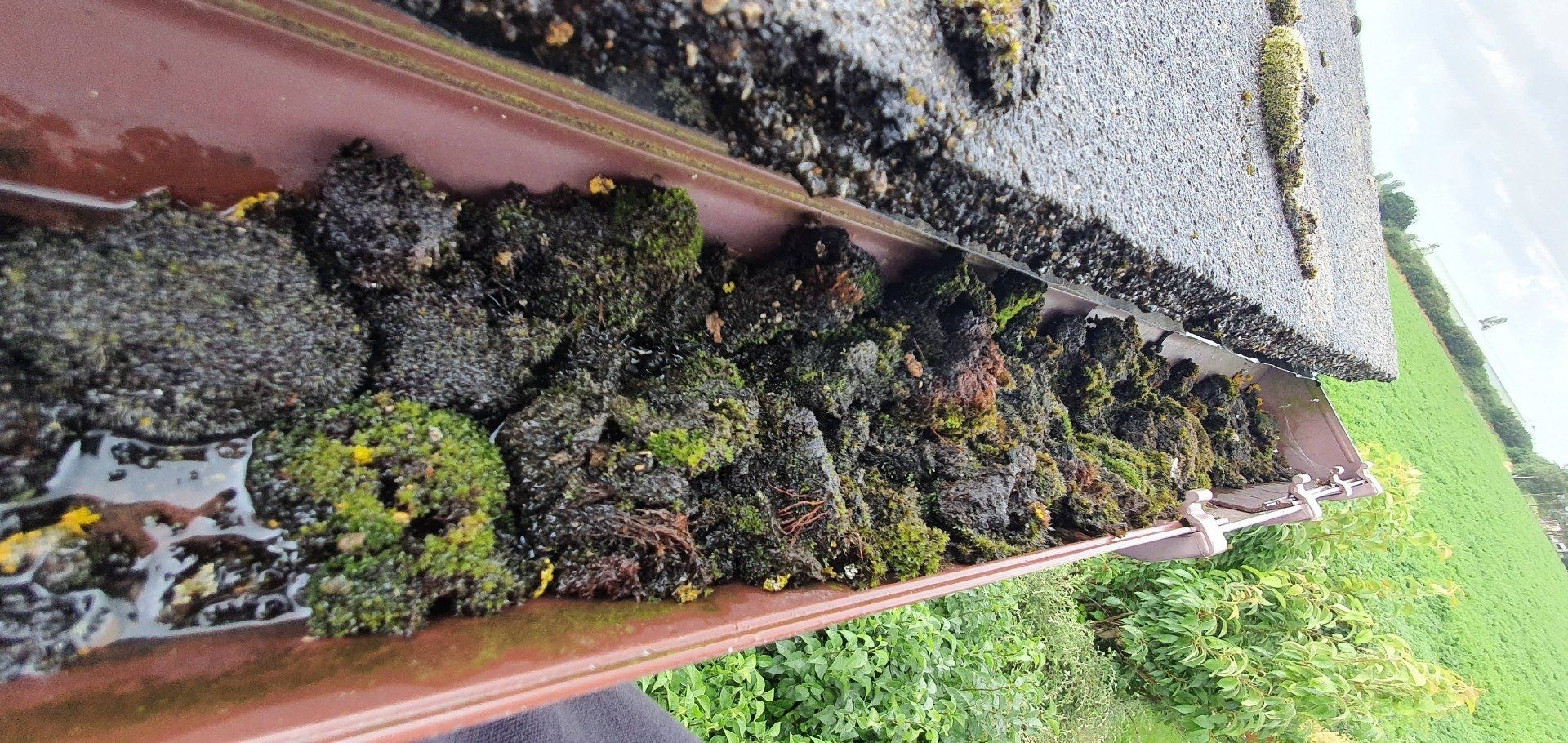 Moss filled gutter