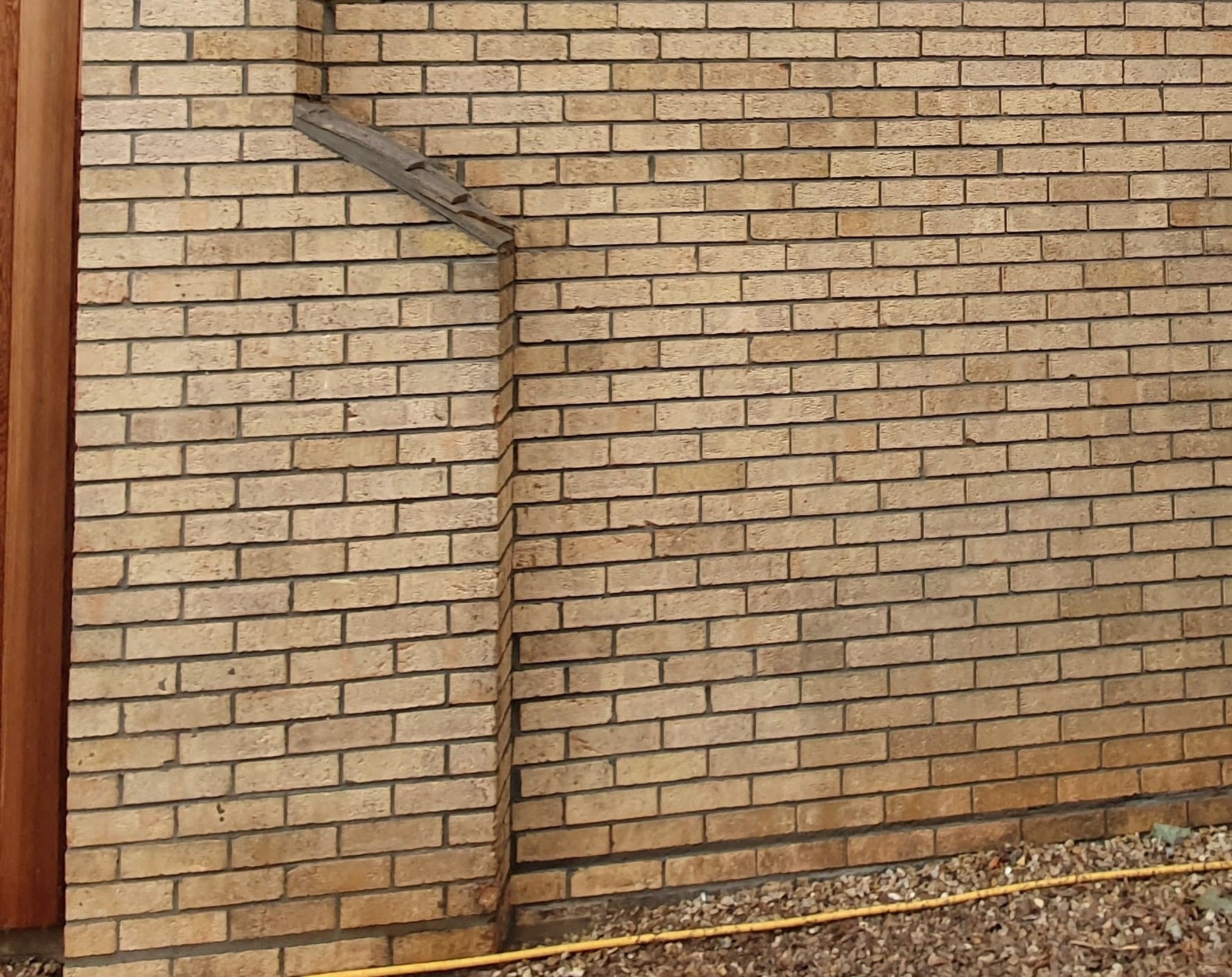 House wall covered in ivy tendrils after cleaning