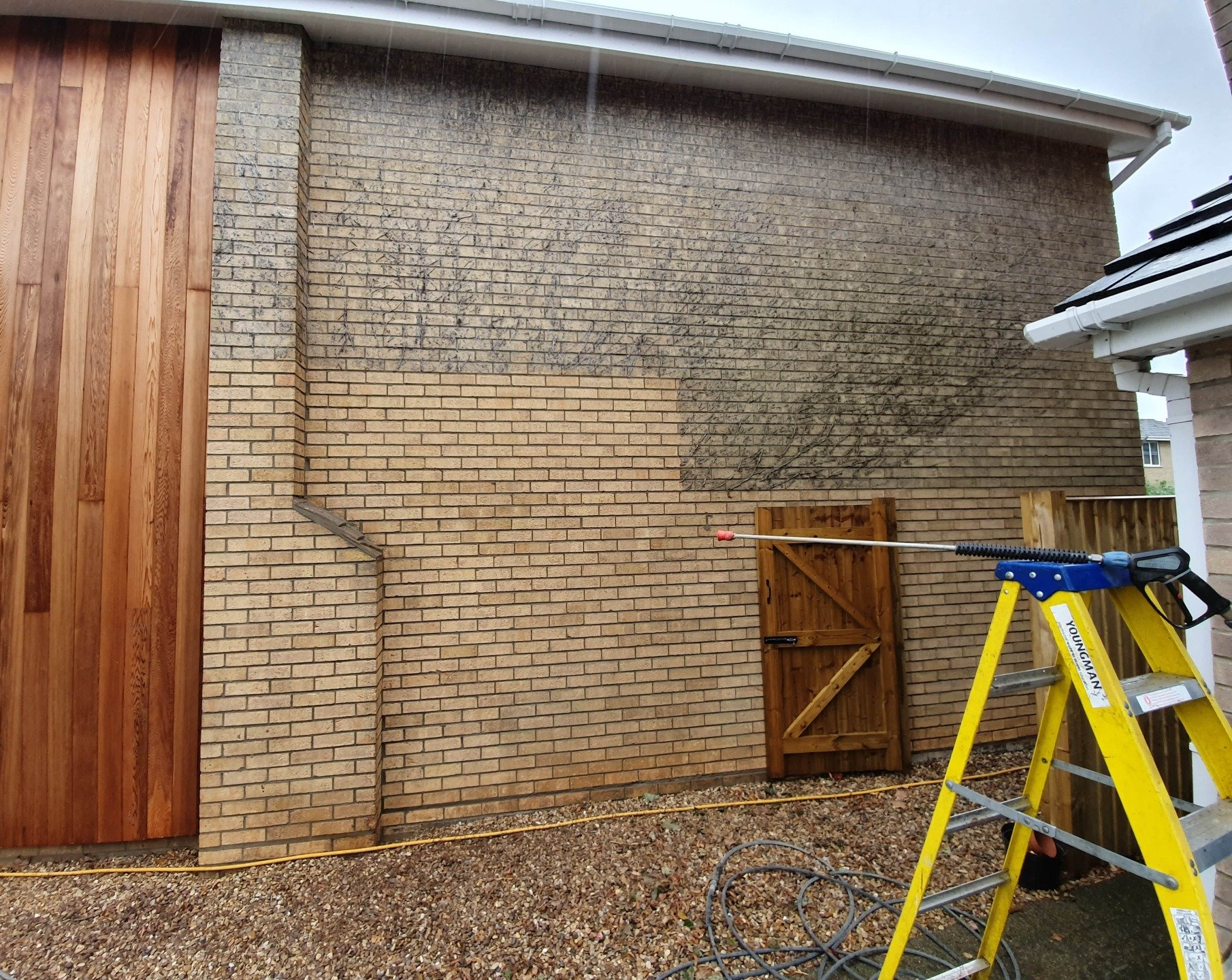 House wall covered in ivy tendrils during cleaning