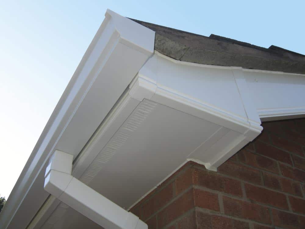 Cleaned gutter, soffit and fascias