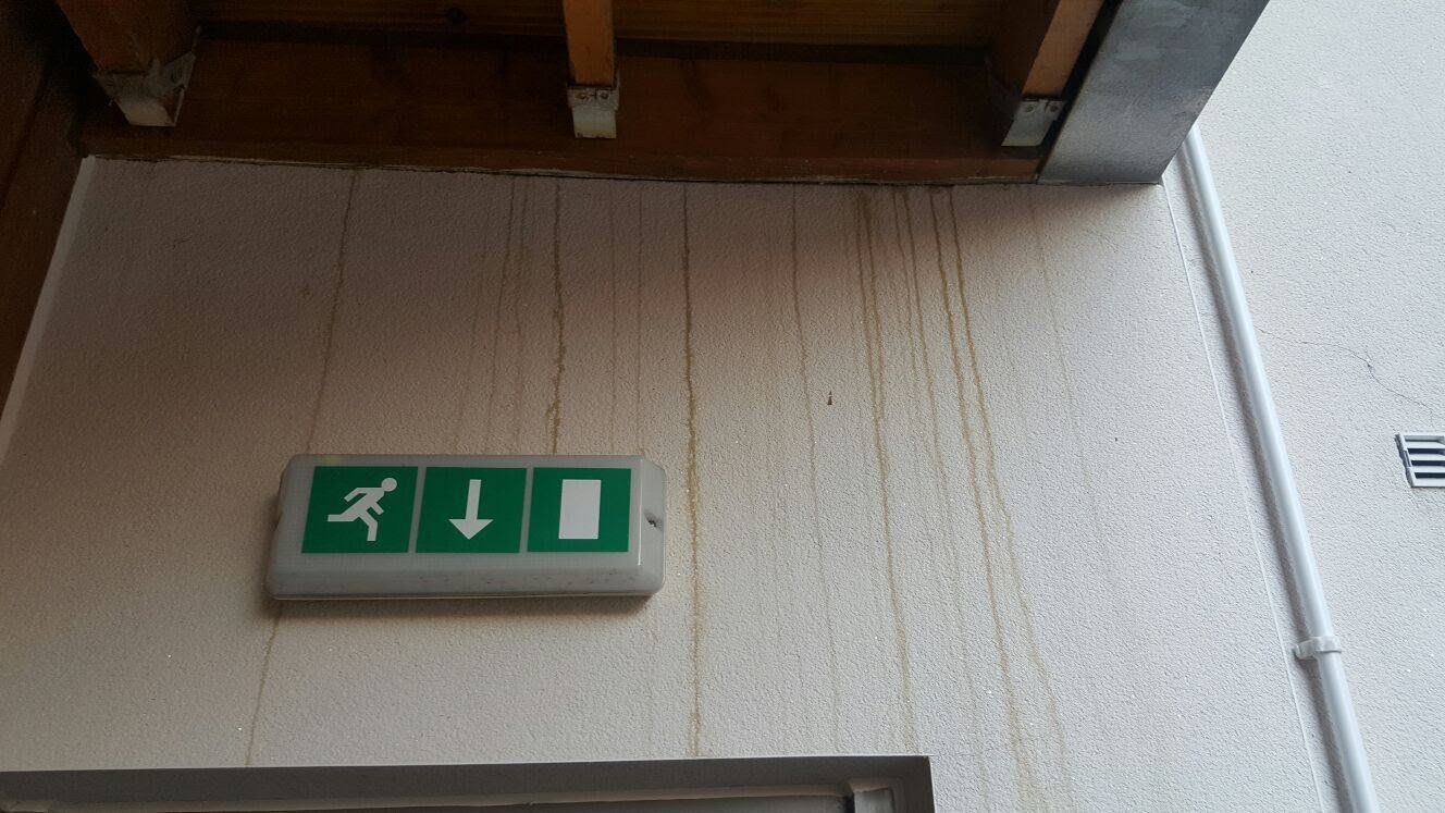 Stained render wall before cleaning