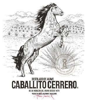 Piña Agavera Logo foto caballito