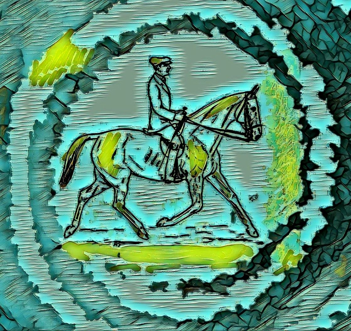 Eine Grafik, die als Hauptelement eine Zeichnung eines Reitpferdes in Gebrauchshaltung zeigt.