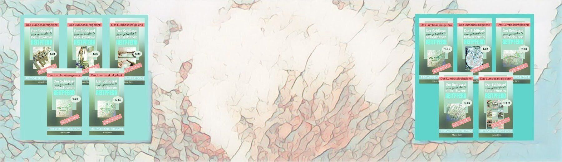 Geballtes Wissen über die funktionelle Anatomie