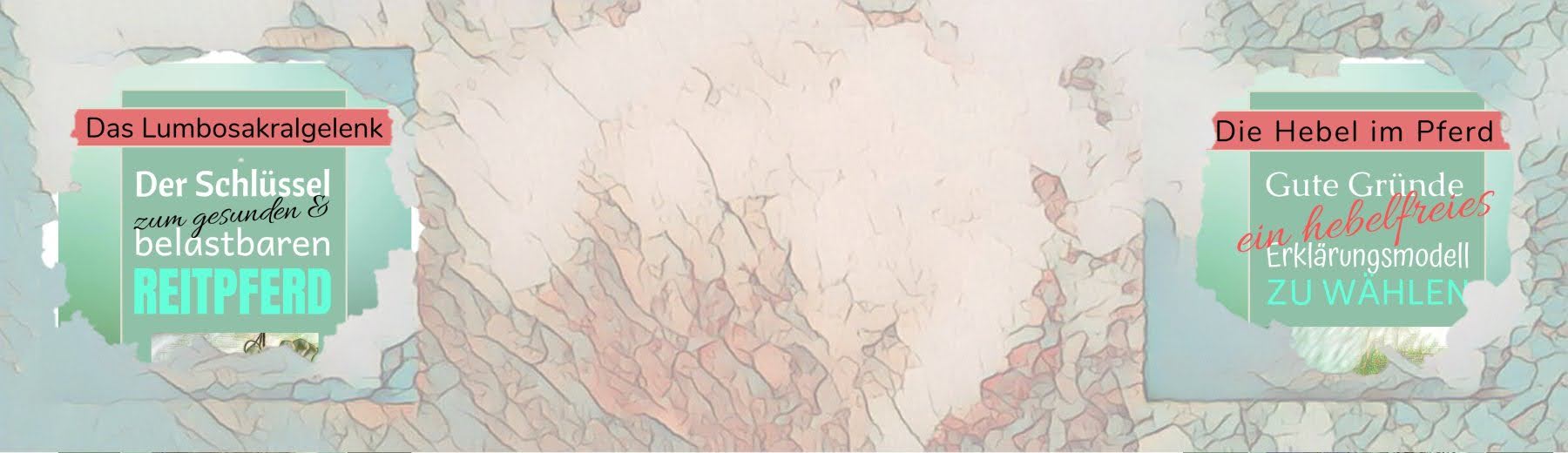 Erklärvideos rund um Pferdeanatomie in Bewegungg