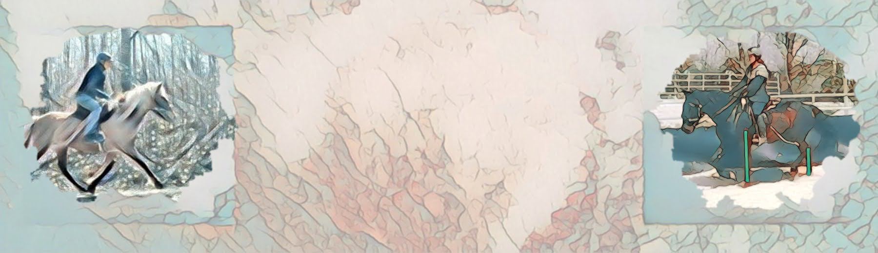 Video-Coaching - Der Weg zum gesunden und belastbaren Pferd