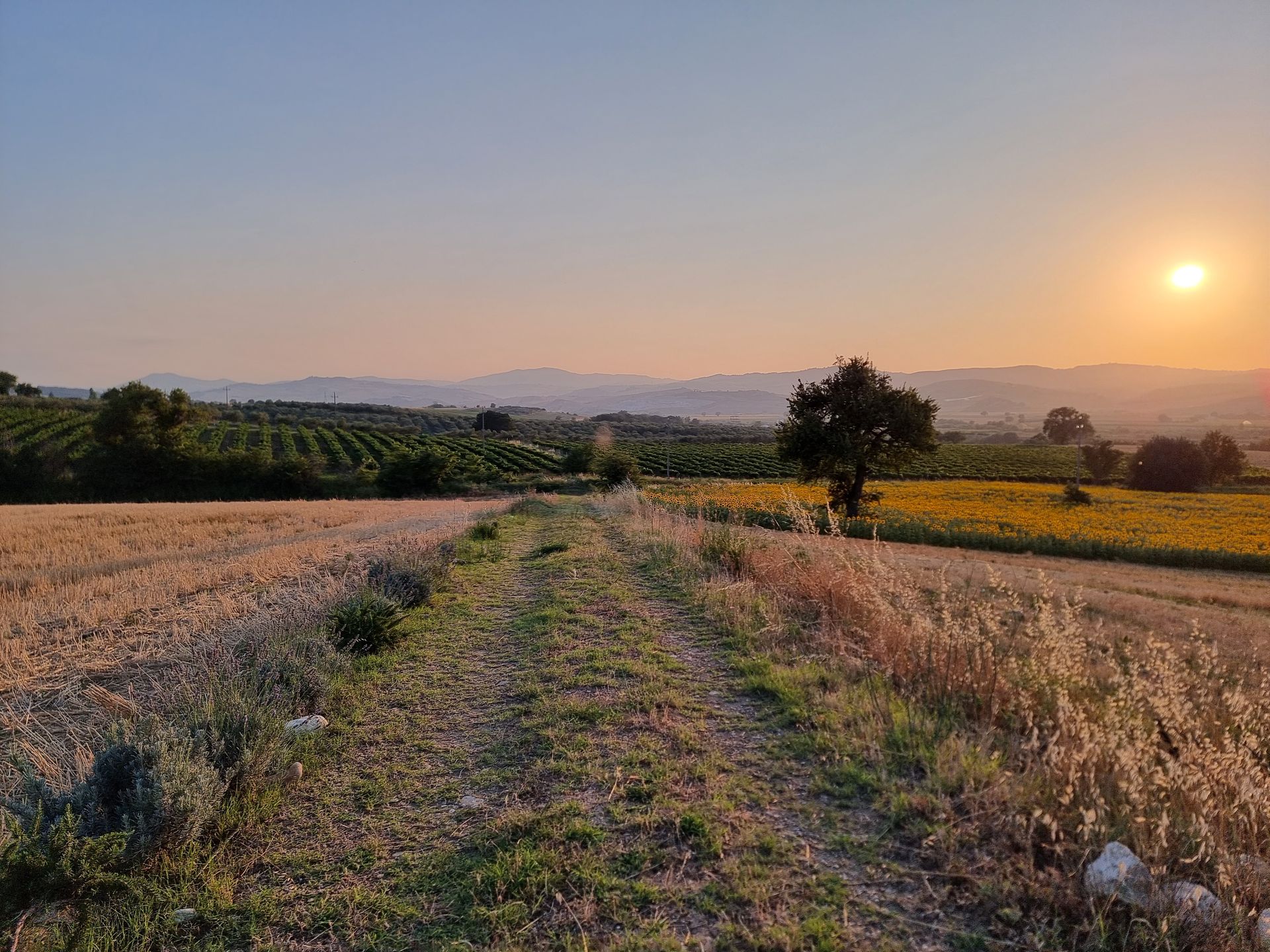 Molise Felder Italien Radreise Abruzzen