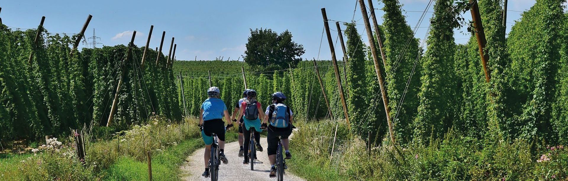 Bike Travle Hallertau