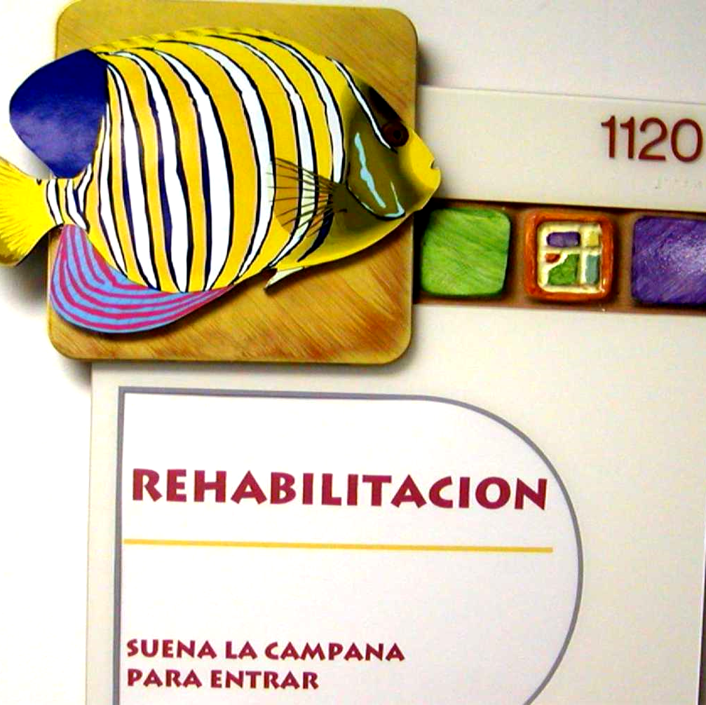 COLOR CODED AND THEMATIC SIGNAGE HELPED NAVIGATE THIS FACILITY ON SEVERAL LEVELS IN ADDITION TO SPANISH FIRST AND ENGLISH SECOND THIS CHILDRENS FACILITY IN MEXICO CITY PROJECT USED FUN AND FAMILAR ICONS FOR FLOOR AND AREA REINFORCEMENT