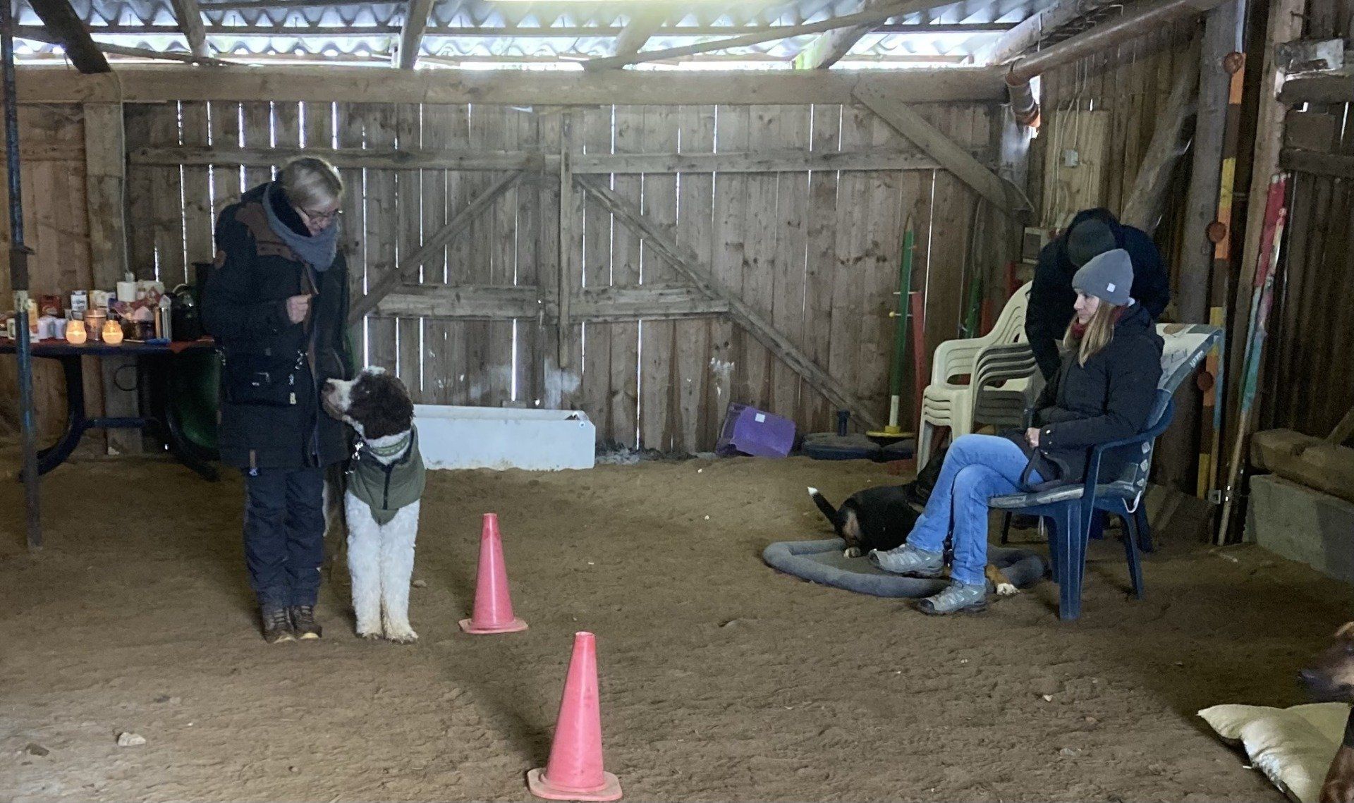 TRAINING SACRED DOG 35  2022-2023