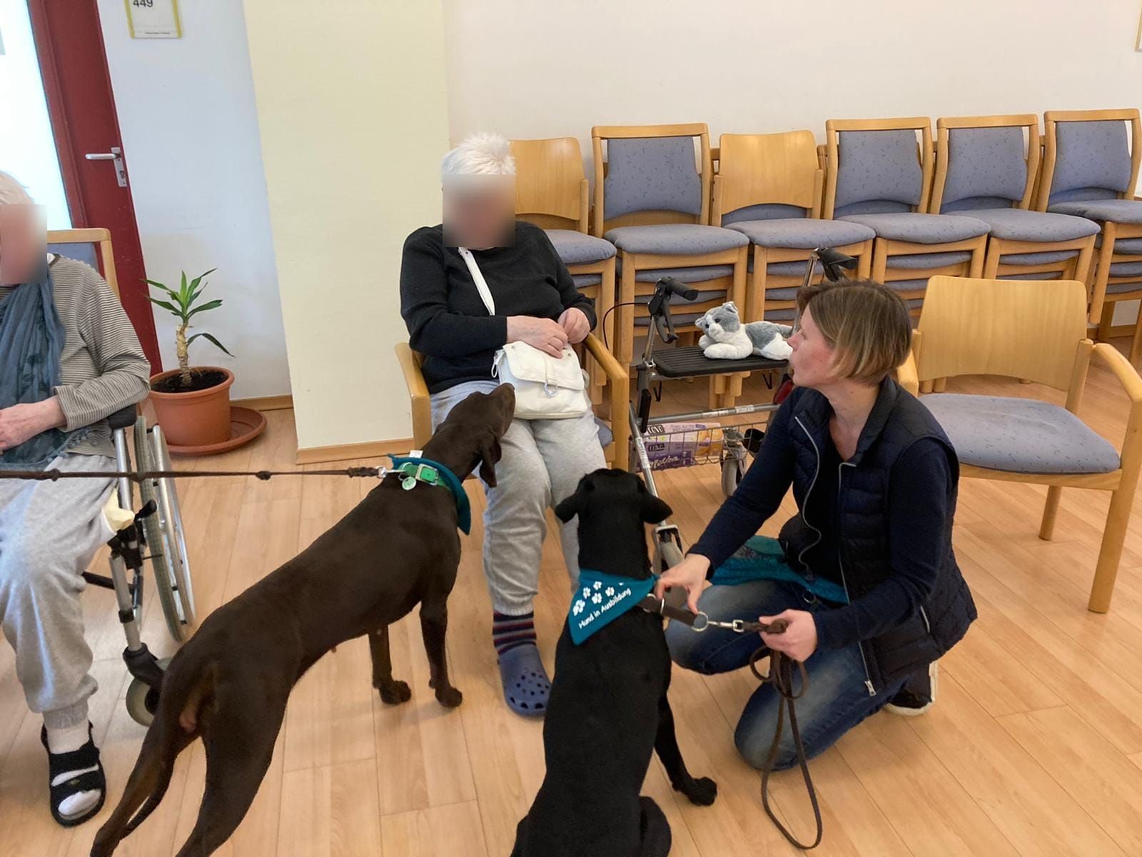 TRAINING SACRED DOG 28c  2022-2023