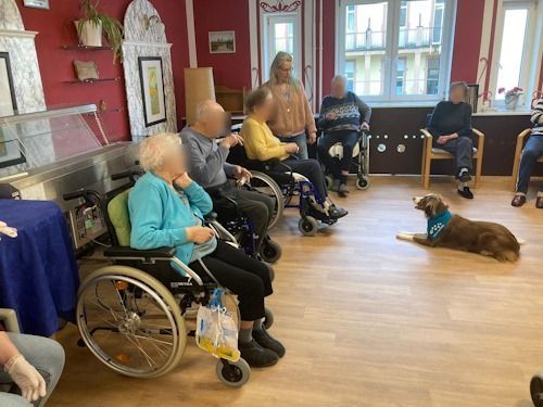 Winter 2023/2024 TRAINING SACRED DOG Bild 19