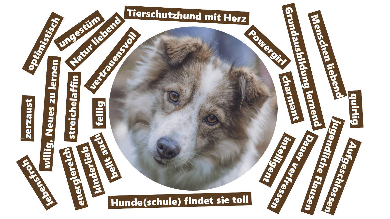 Runa das macht Runa aus