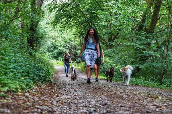 Wander-Yoga mit Hund Wander-Yoga mit Hund