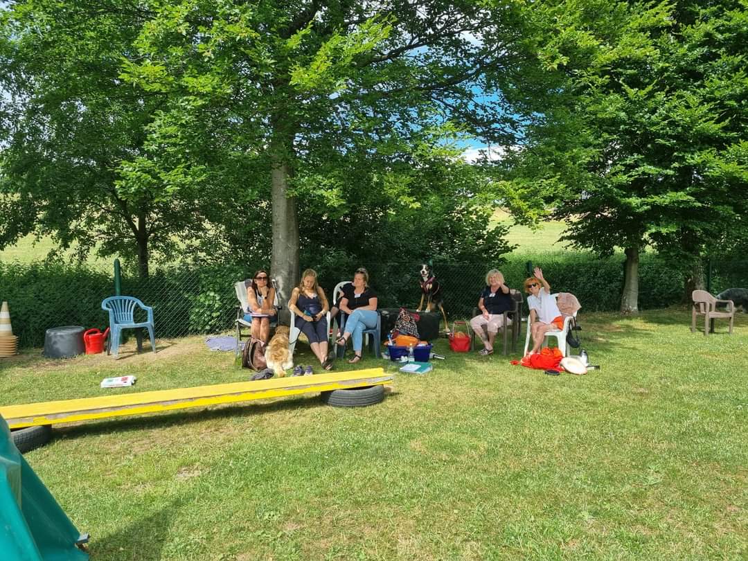 TRAINING SACRED DOG 17