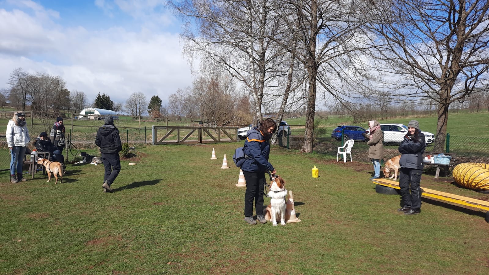 TRAINING SACRED DOG 1