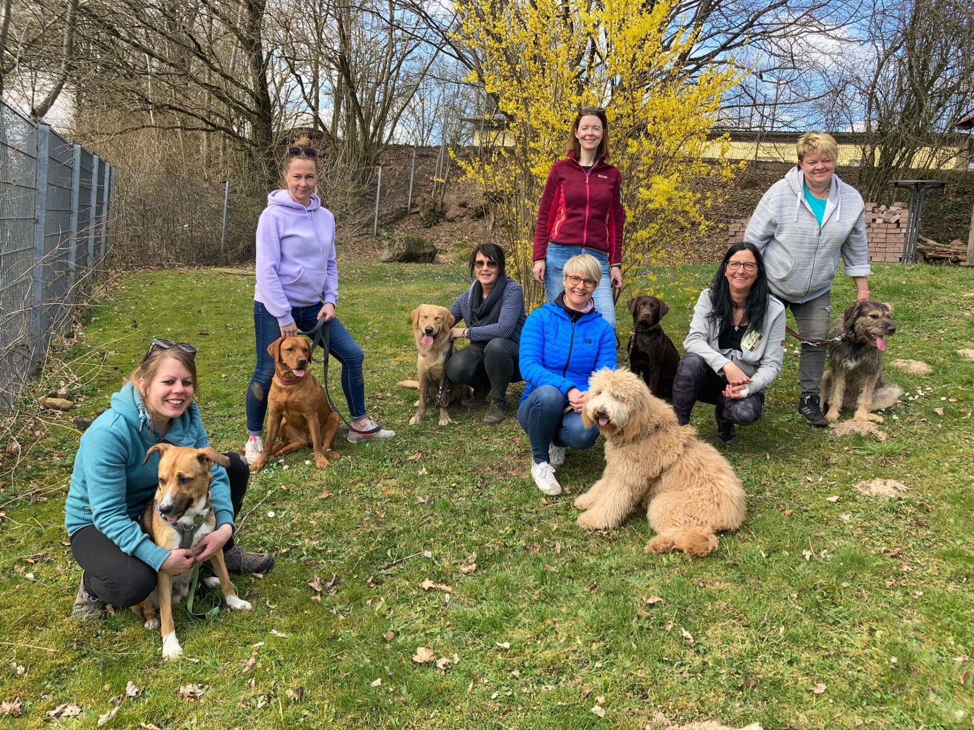 TRAINING SACRED DOG 2