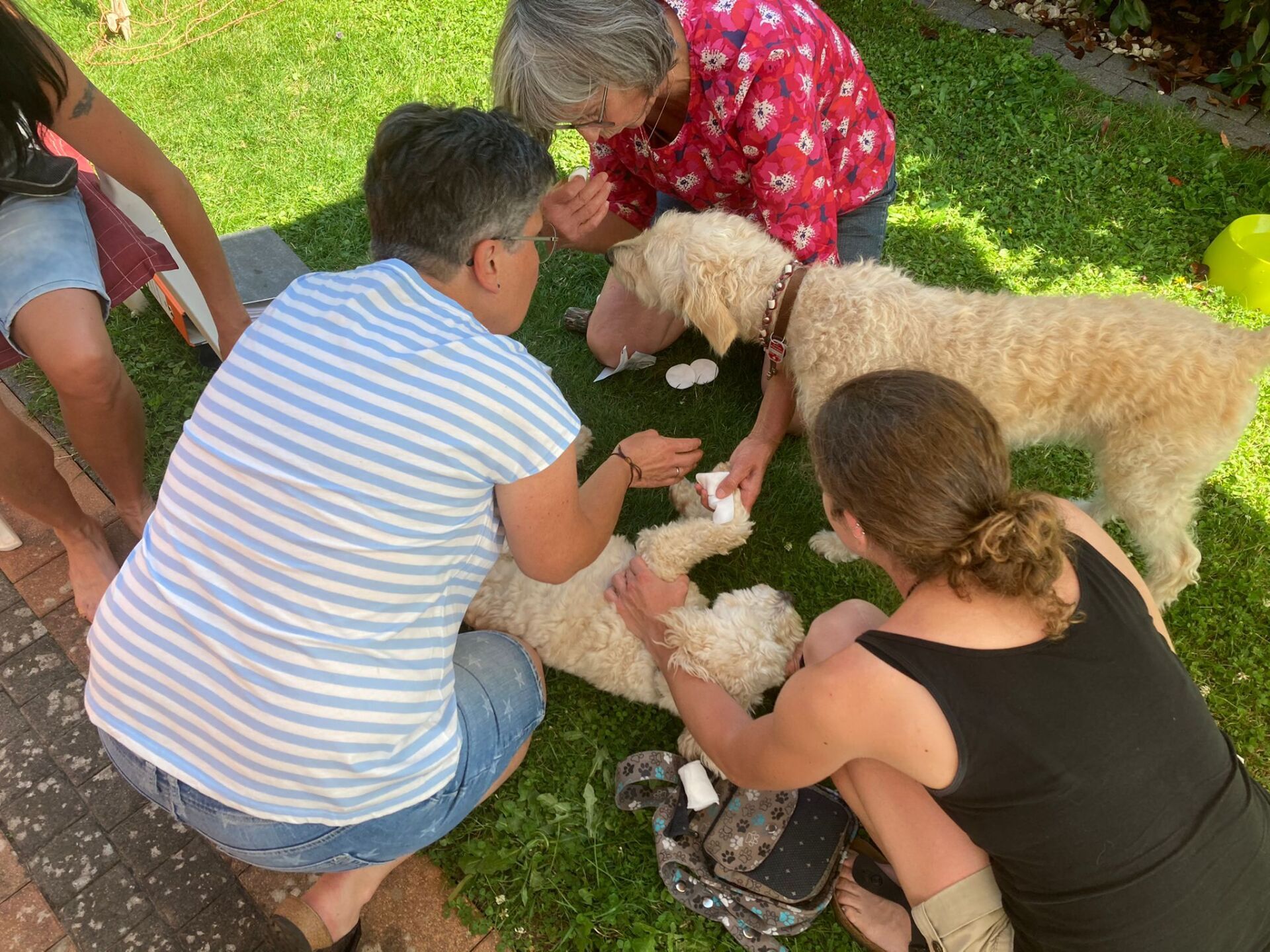 TRAINING SACRED DOG 2021/2022 14