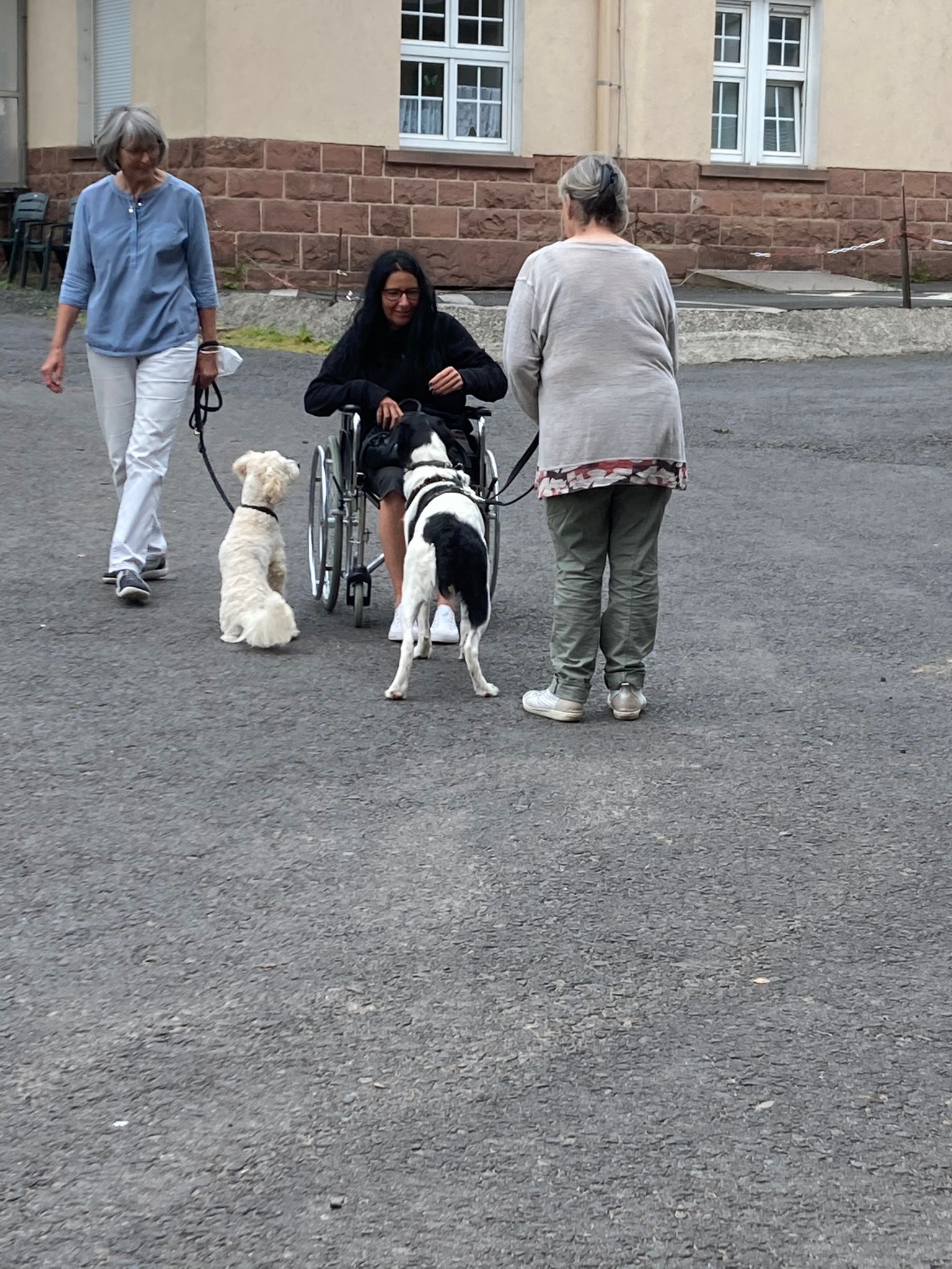 TRAINING SACRED DOG 2021/2022 13