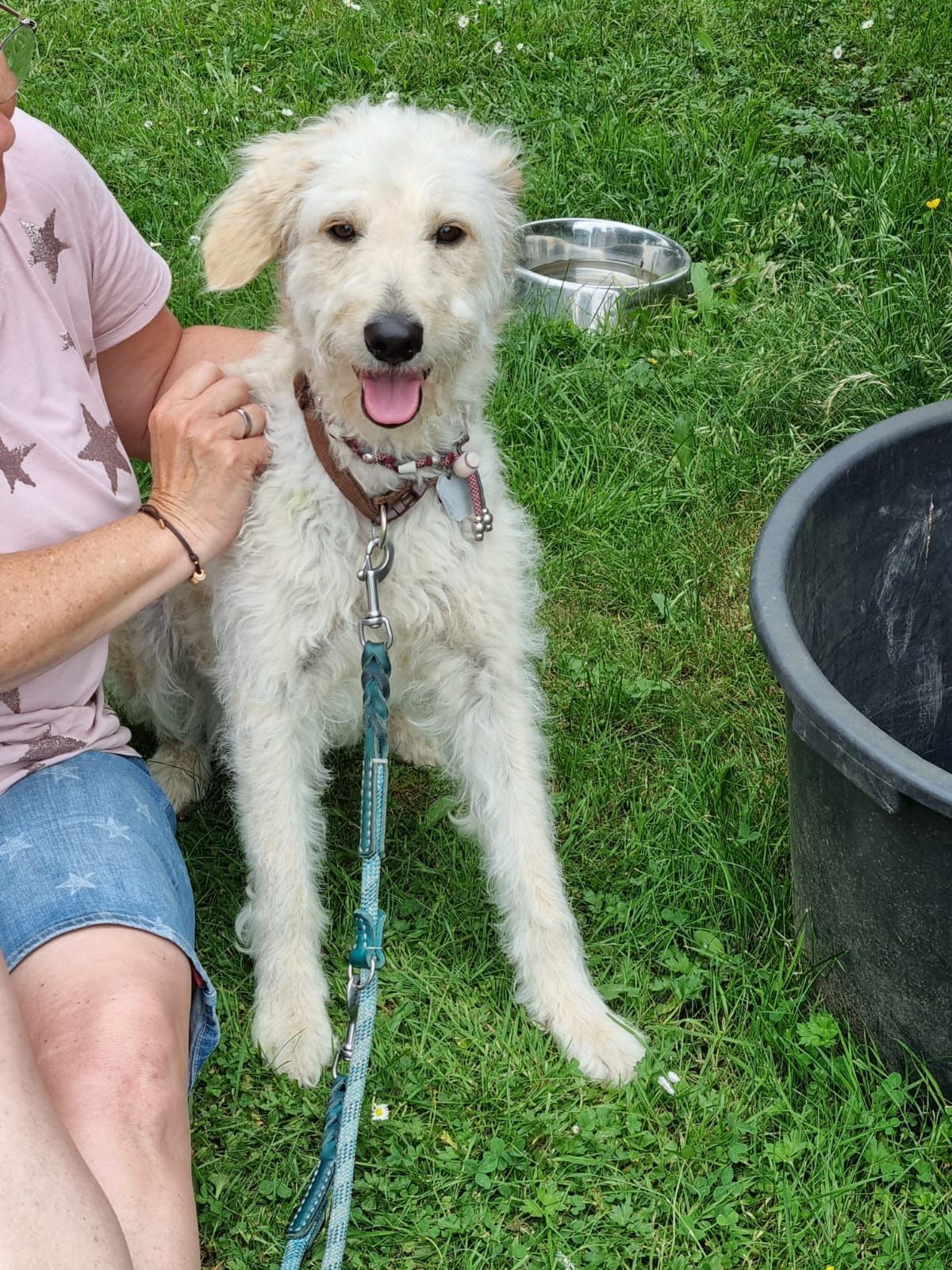 TRAINING SACRED DOG 2021/2022 7