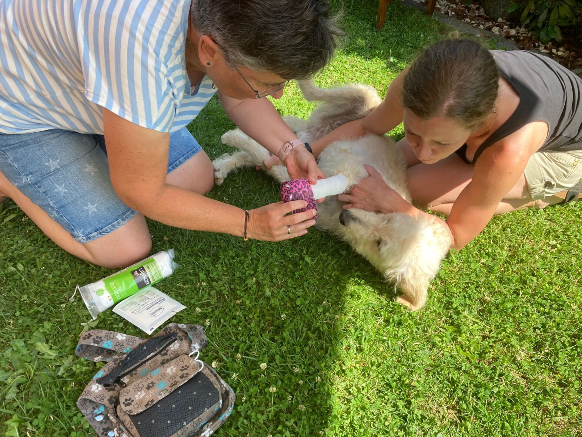 TRAINING SACRED DOG 2021/2022 1