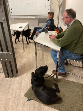 TRAINING SACRED DOG 17 2022-2023