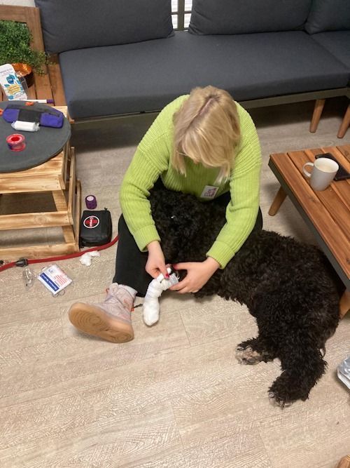 Winter 2023/2024 TRAINING SACRED DOG Bild 11