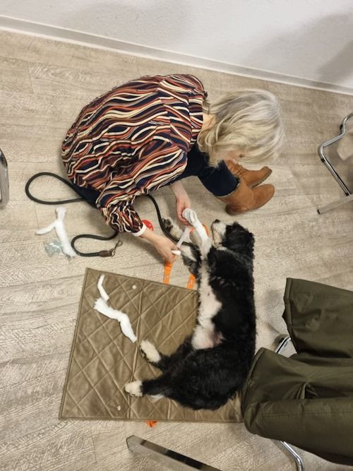 Winter 2023/2024 TRAINING SACRED DOG Bild 10