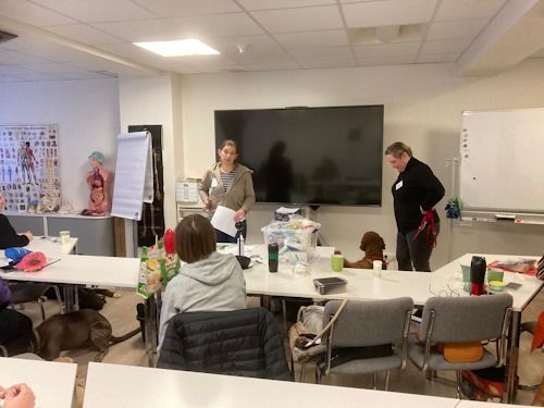 Winter 2023/2024 TRAINING SACRED DOG Bild 9