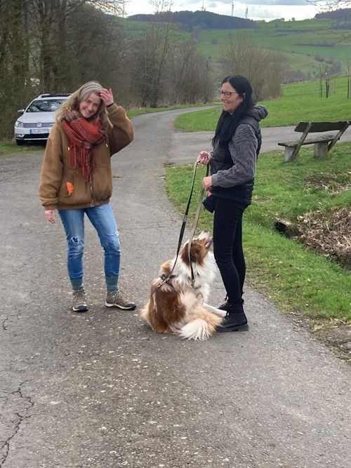 Sommerkurs 2024 Bild 13 TRAINING SACRED DOG