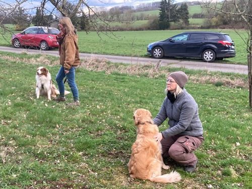 Sommerkurs 2024 Bild 11 TRAINING SACRED DOG