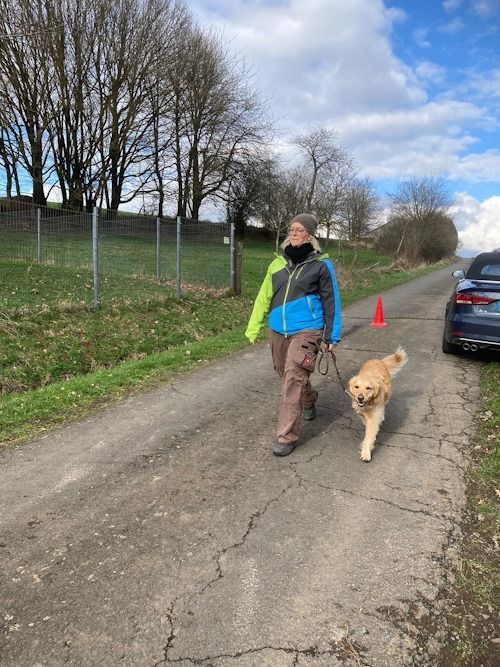 Sommerkurs 2024 Bild 10 TRAINING SACRED DOG