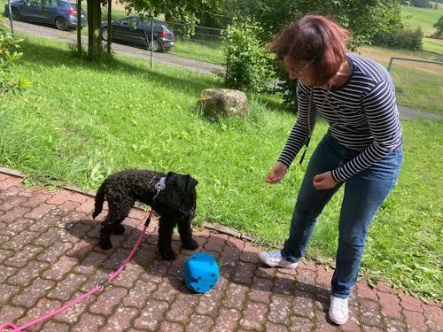 Sommerkurs 2024 Bild 60 TRAINING SACRED DOG