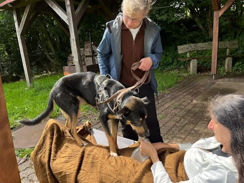 Sommerkurs 2024 Bild 66 TRAINING SACRED DOG