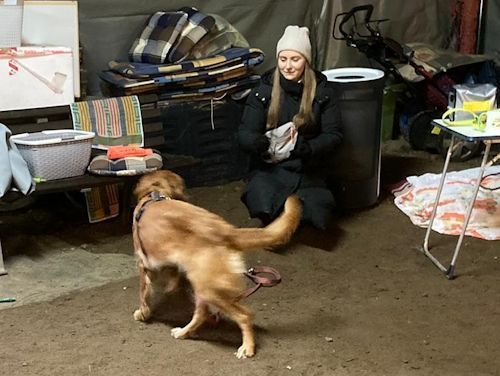 Winterkurs 204/2025 Bild 20 TRAINING SACRED DOG